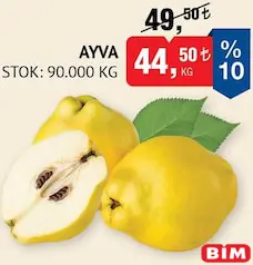 AYVA KG